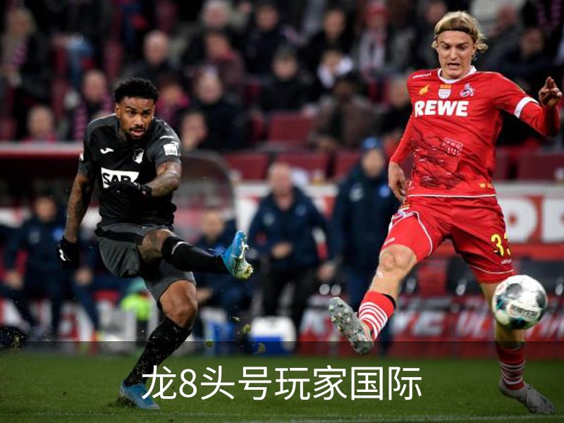 关于龙8头号玩家国际